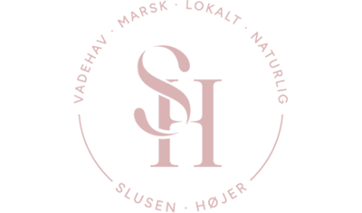 Slusen Højer