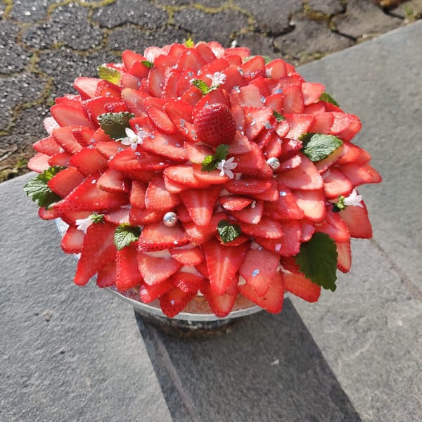 Fanø Chokolade detalje